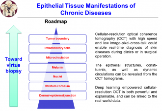 Deep Learning on Epithelial Tissue Manifestations of Chronic Diseases