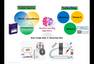 Machine Learning Approach to Phenotyping Psychiatric Disorders Using Large-Scale Neuroimaging and GeneChip