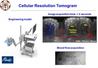 對具細胞解析度之三維光學斷層影像做深度學習